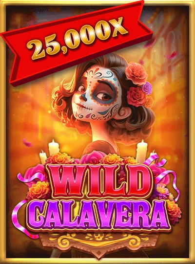 Live roulette dealer cover